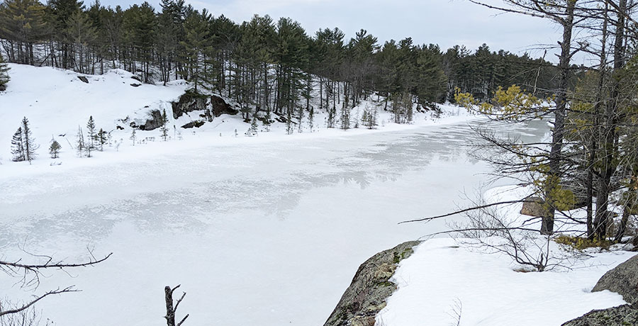 snowshoeing, cross-country skiing