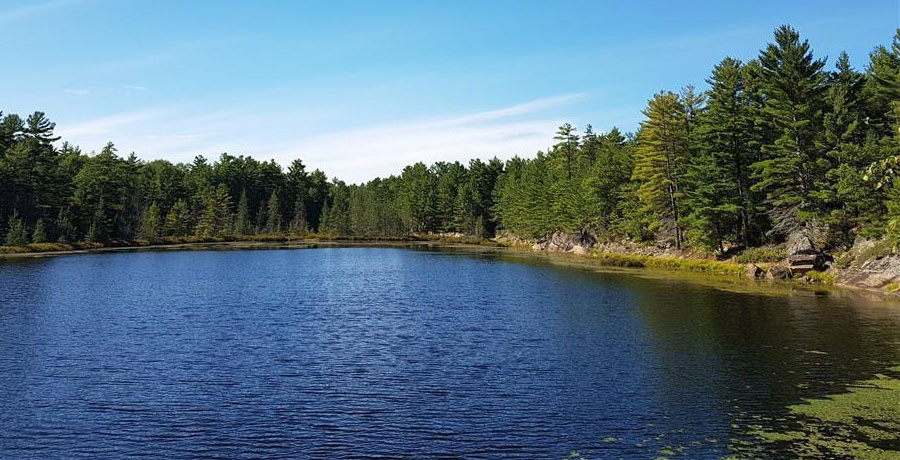 secluded cabin on a private lake