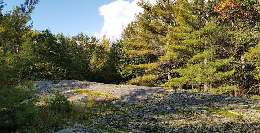 hiking, trail riding